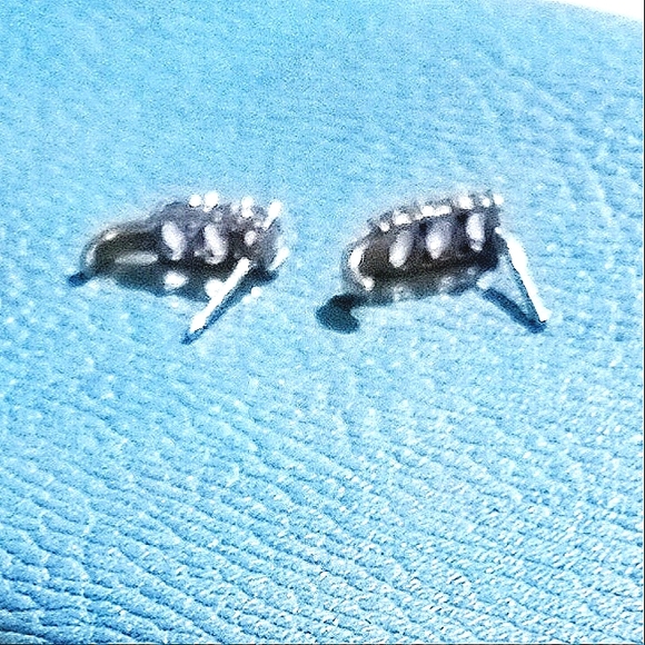 SOLD Tanzanite Stud Pierced Earrings - Picture 7 of 9